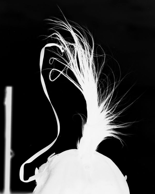 © Matt Calarco - Image from the Taming Again photography project