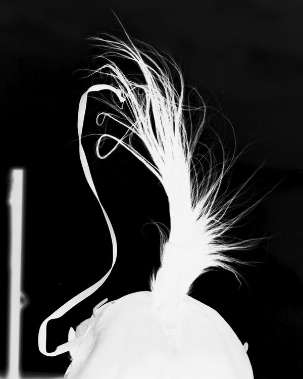 © Matt Calarco - Image from the Taming Again photography project