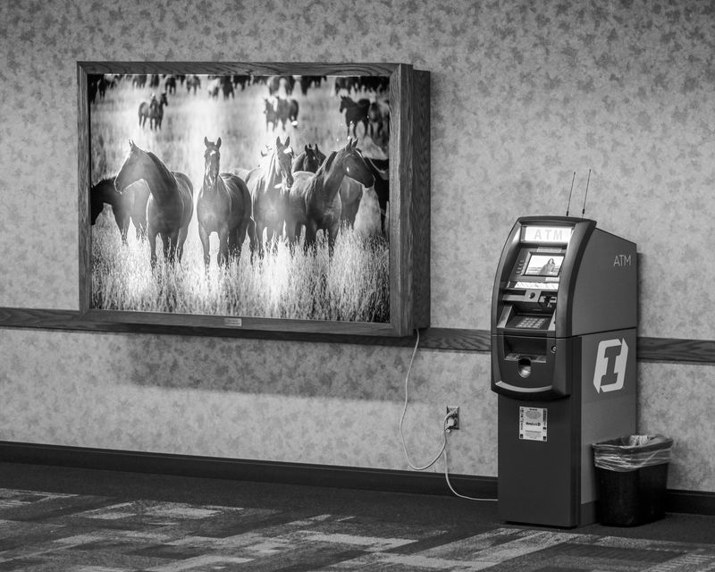 © Matt Calarco - Image from the Taming Again photography project