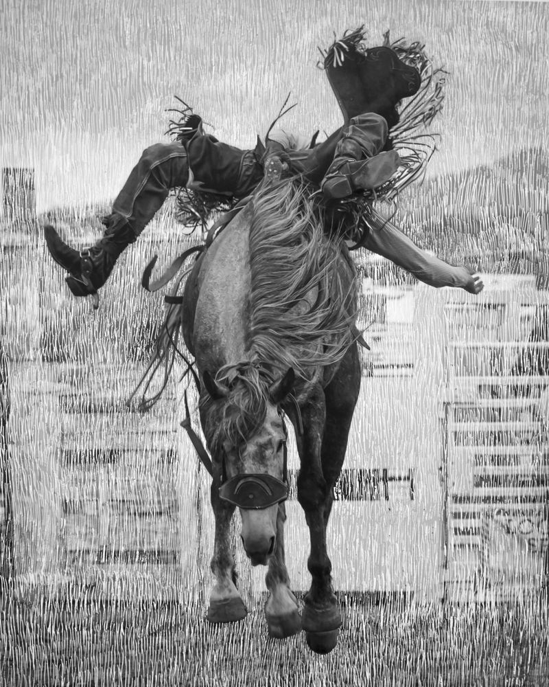 © Matt Calarco - Image from the Taming Again photography project