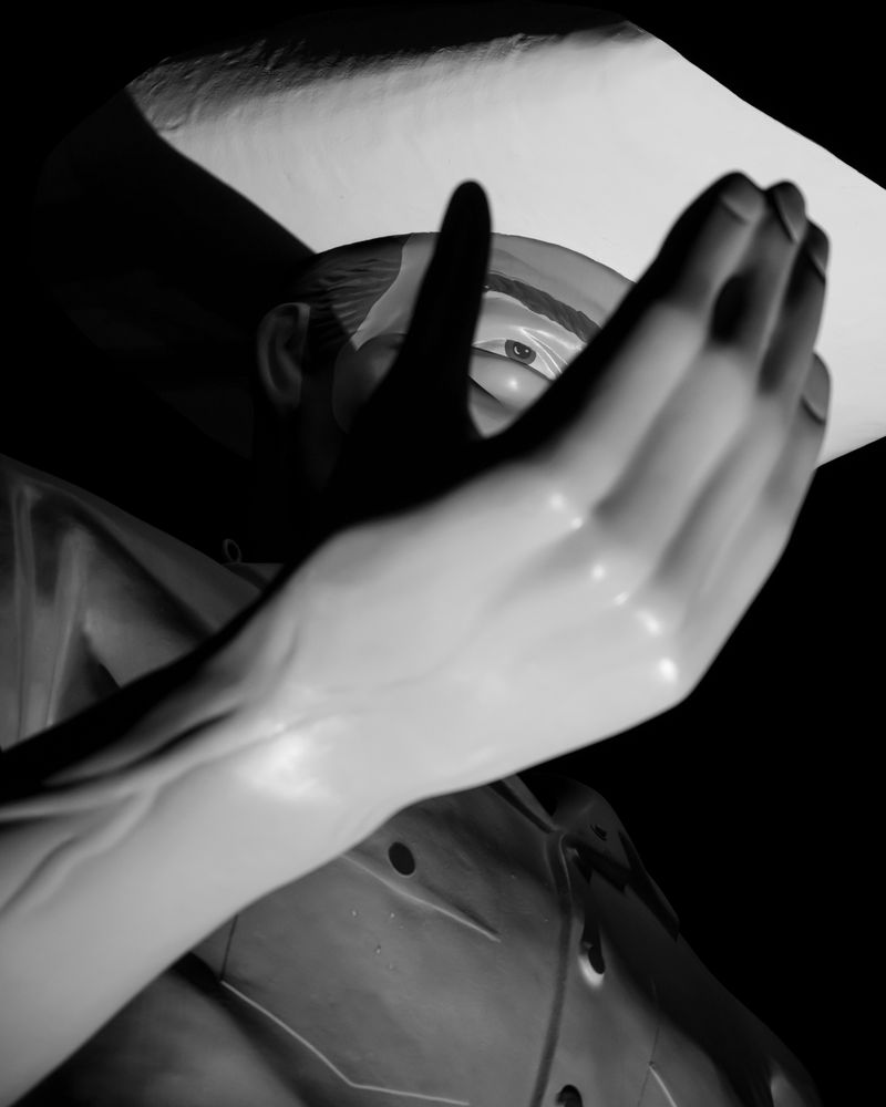 © Matt Calarco - Image from the Taming Again photography project