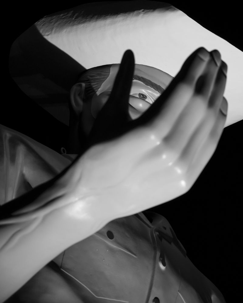 © Matt Calarco - Image from the Taming Again photography project