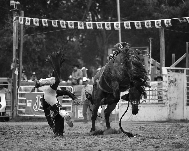 © Matt Calarco - Image from the Taming Again photography project