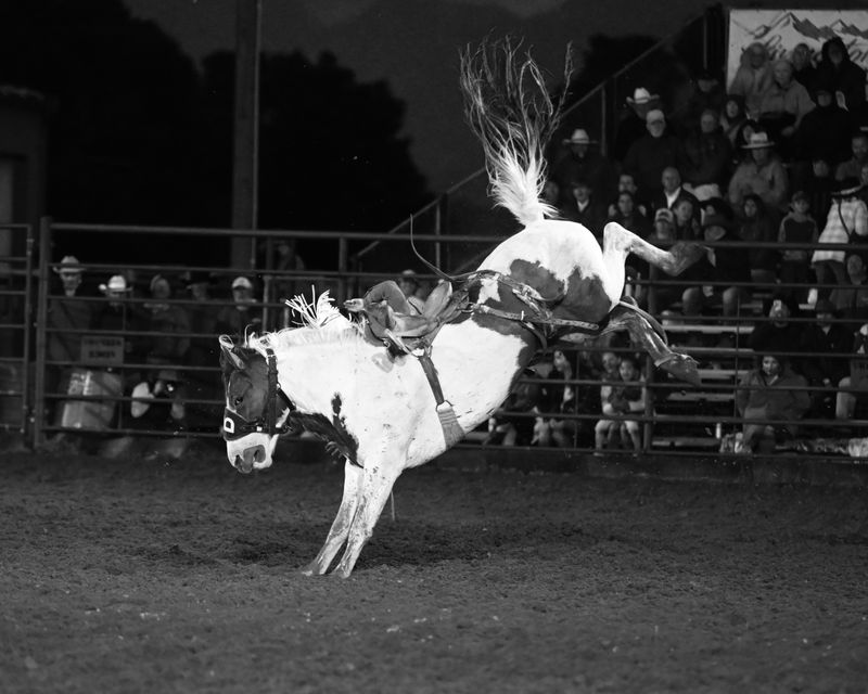 © Matt Calarco - Image from the Taming Again photography project