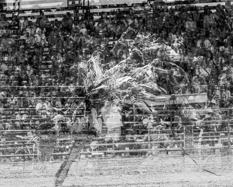 © Matt Calarco - Image from the Taming Again photography project