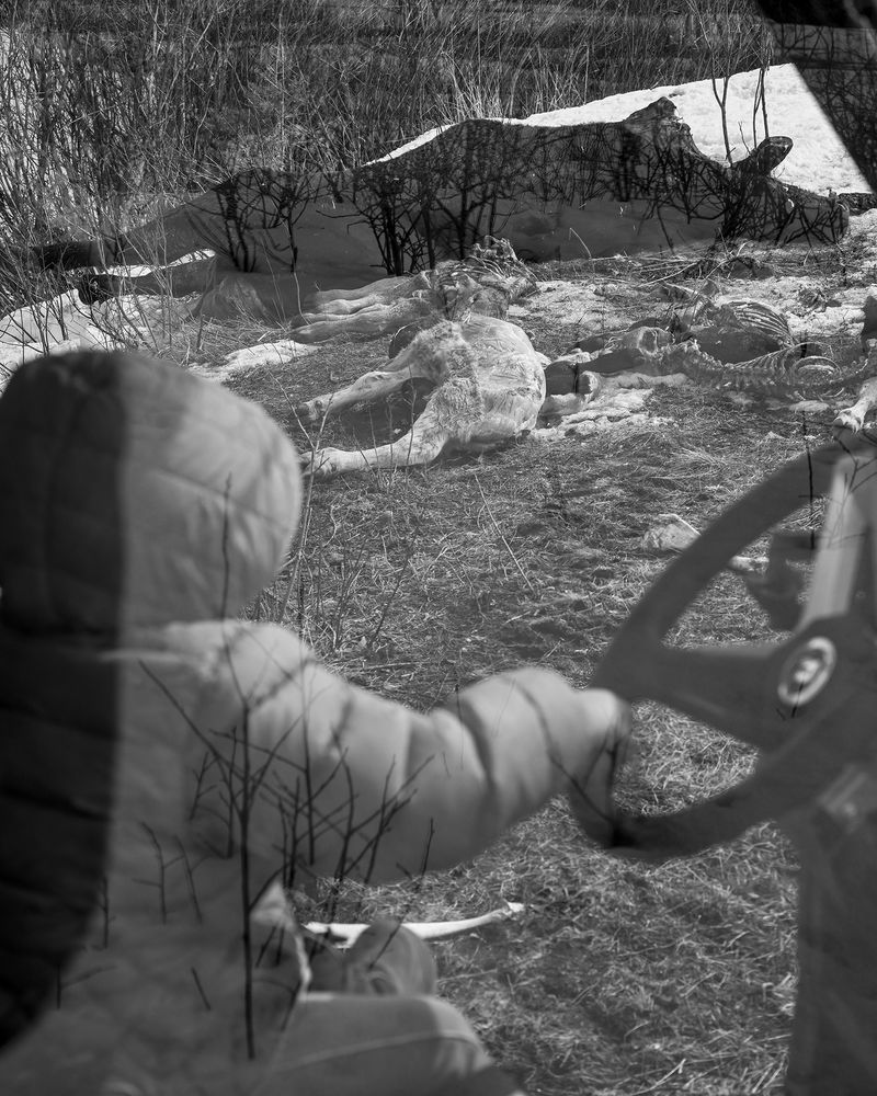 © Matt Calarco - Image from the False Summits photography project