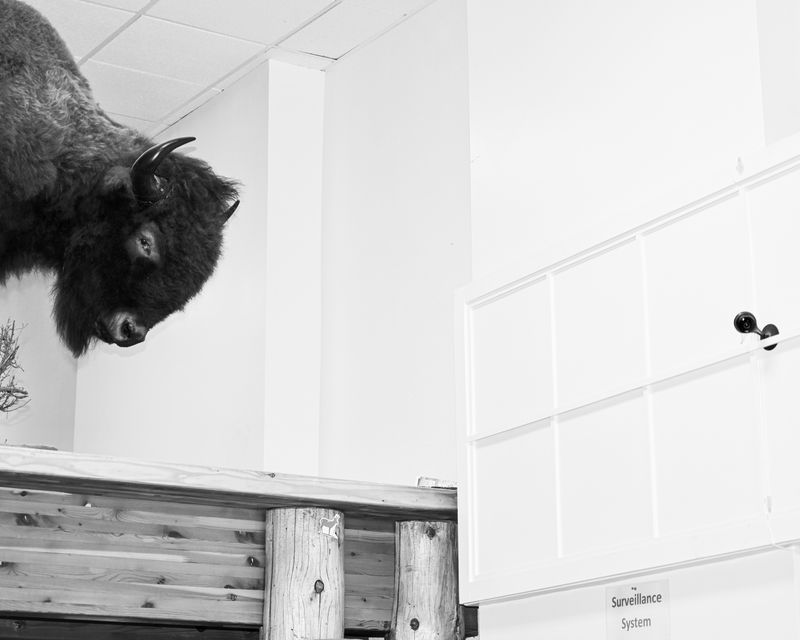 © Matt Calarco - Image from the False Summits photography project