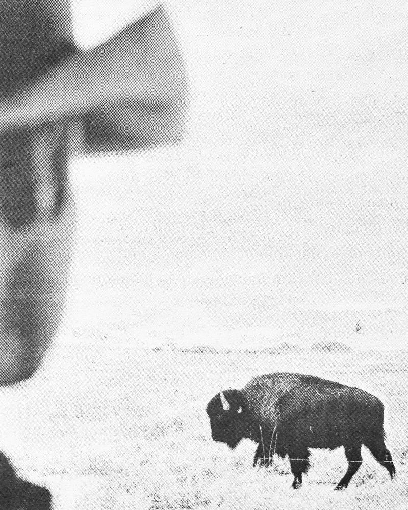 © Matt Calarco - Image from the False Summits photography project