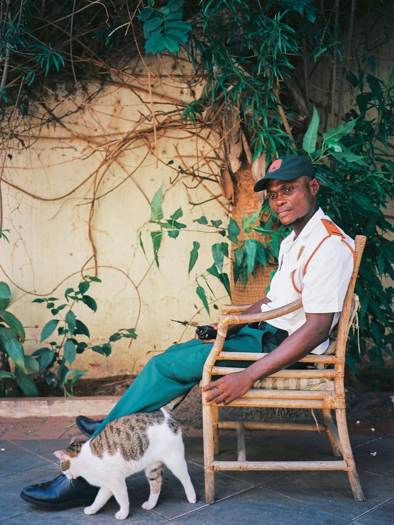 © Daniel Seiffert - Image from the Guardas da Miramar photography project