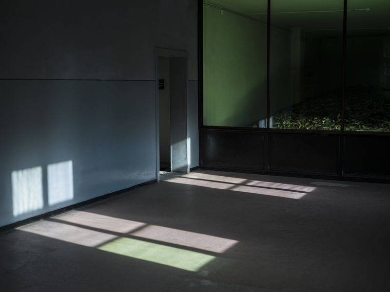 © Daniel Seiffert - Zyklon B, Block 4 “Physical Evidence of Crime”, KZ-Gedenkstätte Auschwitz, Polen 28. Februar 2019