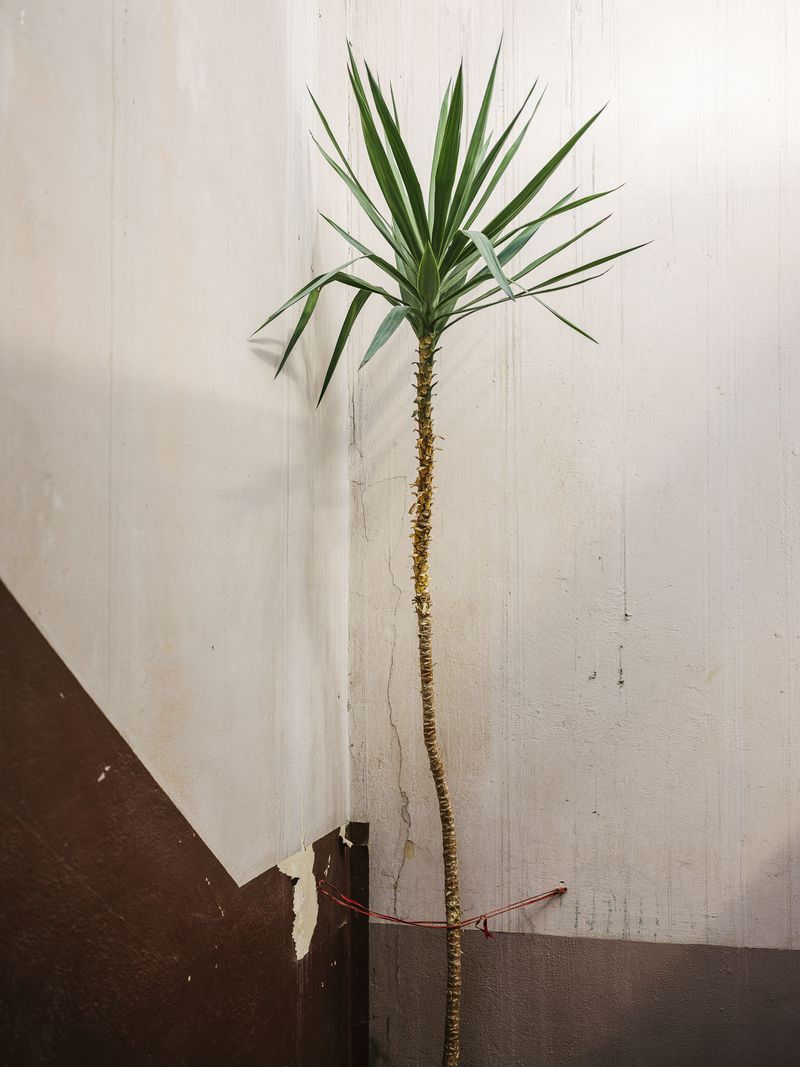 © Daniel Seiffert - Treppenhaus, Rynek 45, Wrocław, Polen 27. Februar 2019