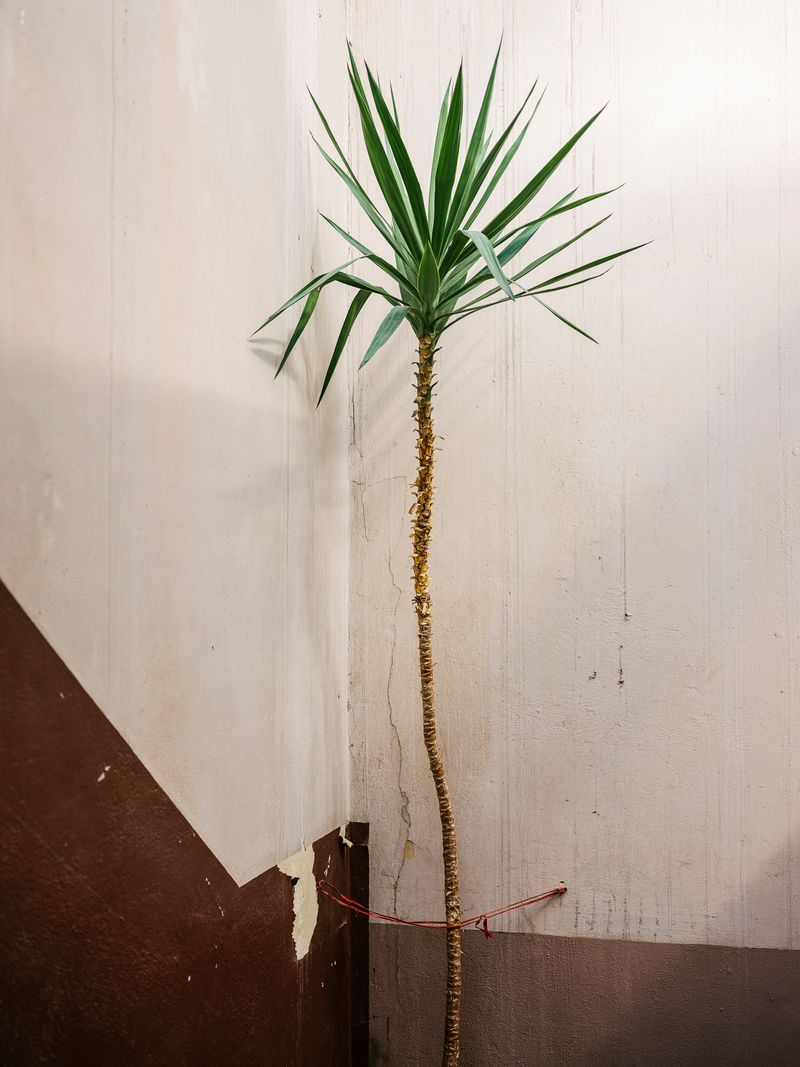 © Daniel Seiffert - Treppenhaus, Rynek 45, Wrocław, Polen 27. Februar 2019