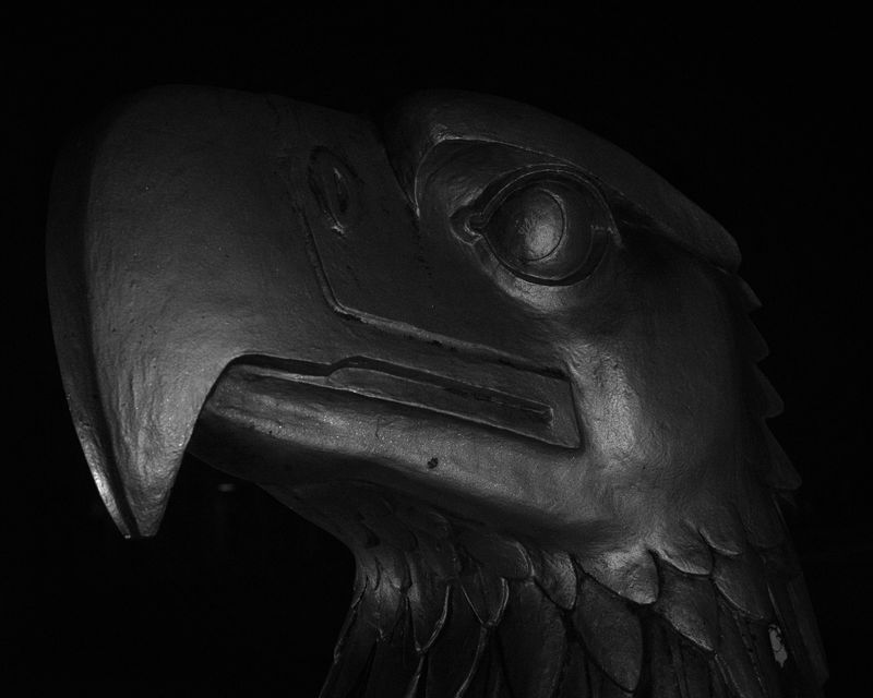 © Daniel Seiffert - Image from the The Field photography project