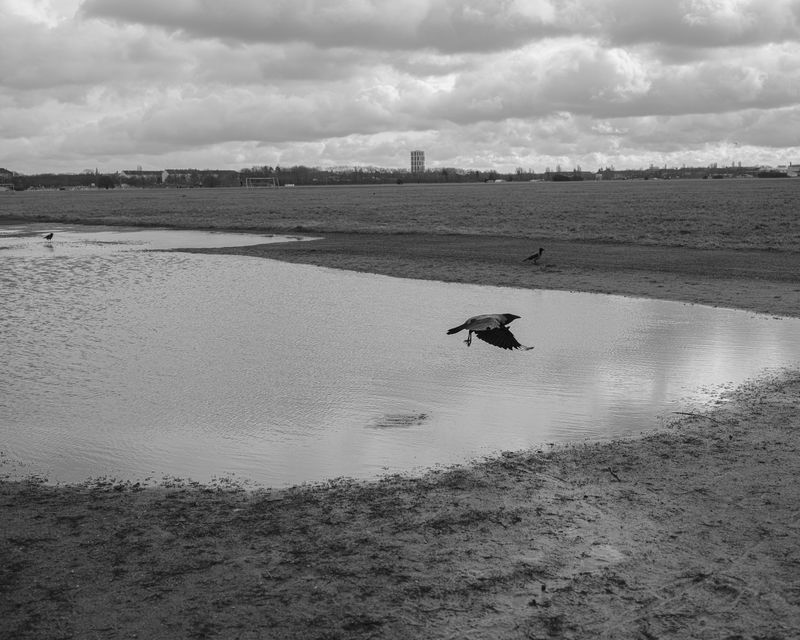 © Daniel Seiffert - Image from the The Field photography project