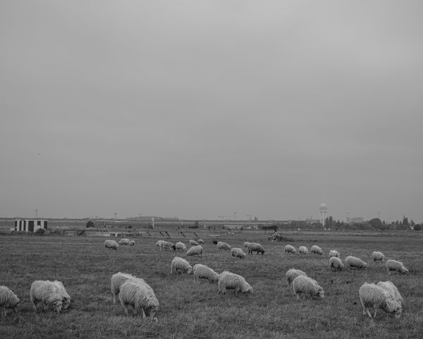 © Daniel Seiffert - Image from the The Field photography project