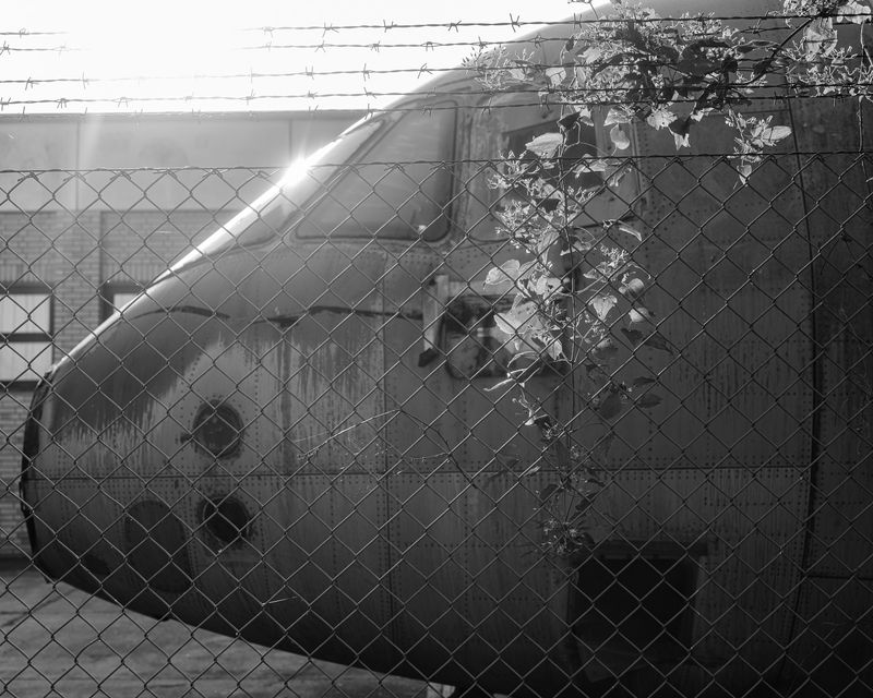 © Daniel Seiffert - Image from the The Field photography project