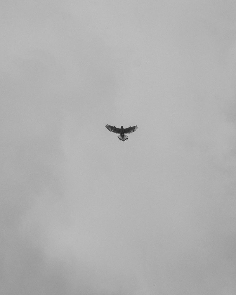 © Daniel Seiffert - Image from the The Field photography project