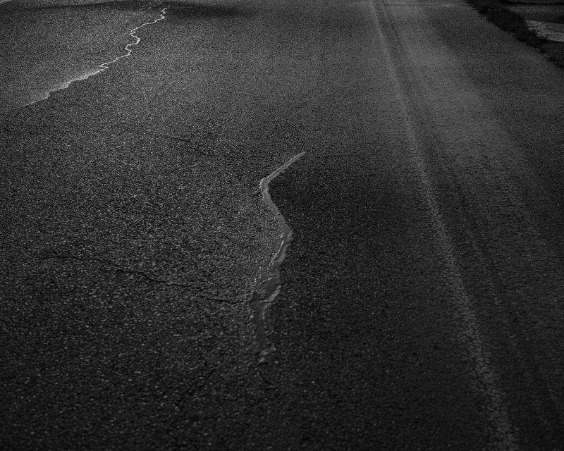 © Daniel Seiffert - Image from the The Field photography project