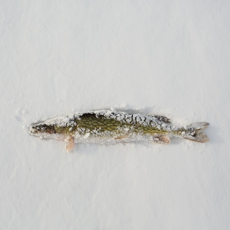 © Federico Pardo - Image from the Ice shanties photography project