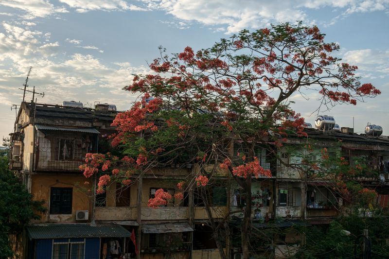 © Xuan-Phong Le - Image from the Familiar Landscapes photography project