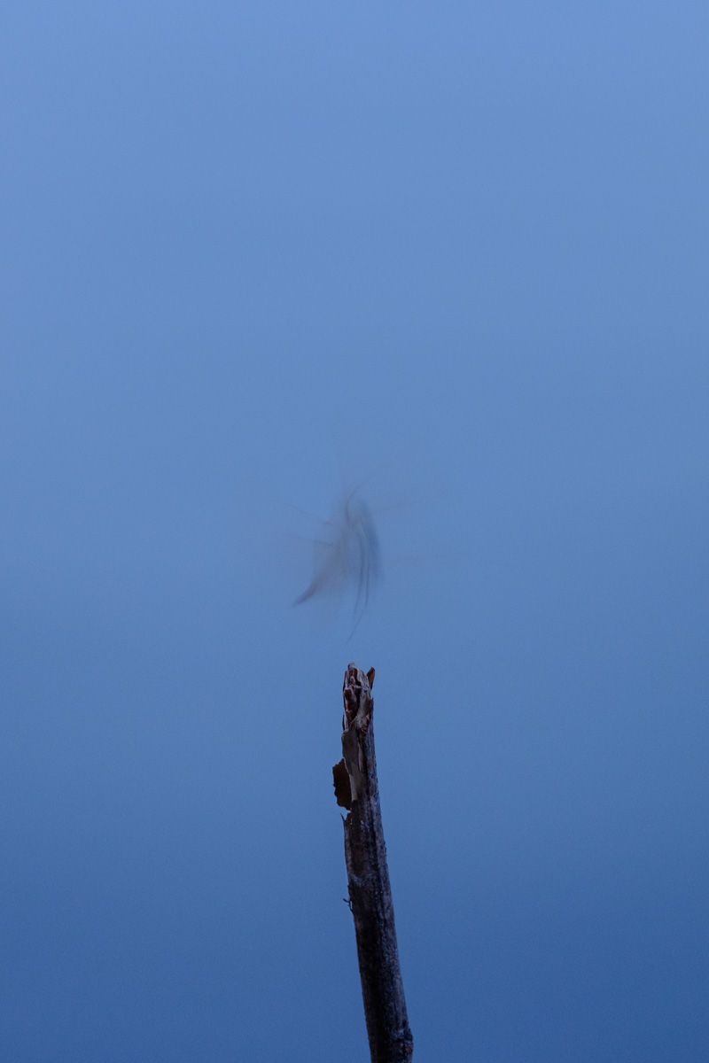 © Xuan-Phong Le - Image from the Familiar Landscapes photography project