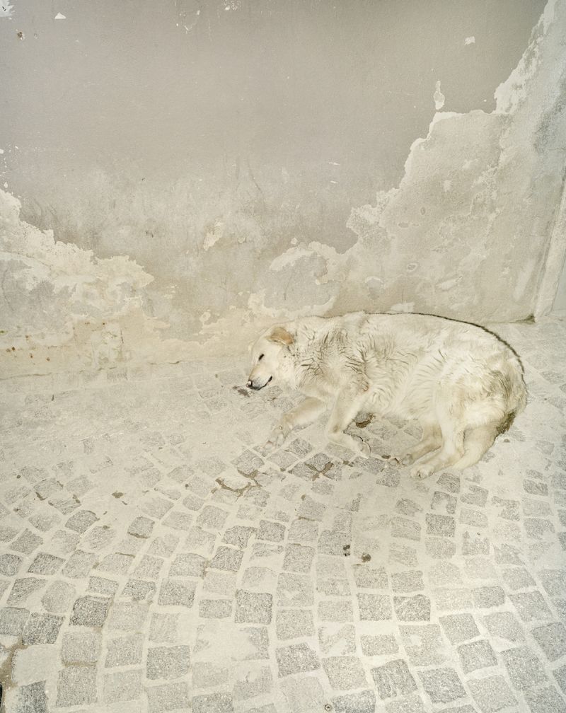 © Giovanni Cocco - Image from the DISPLACEMENT - NEW TOWN NO TOWN photography project