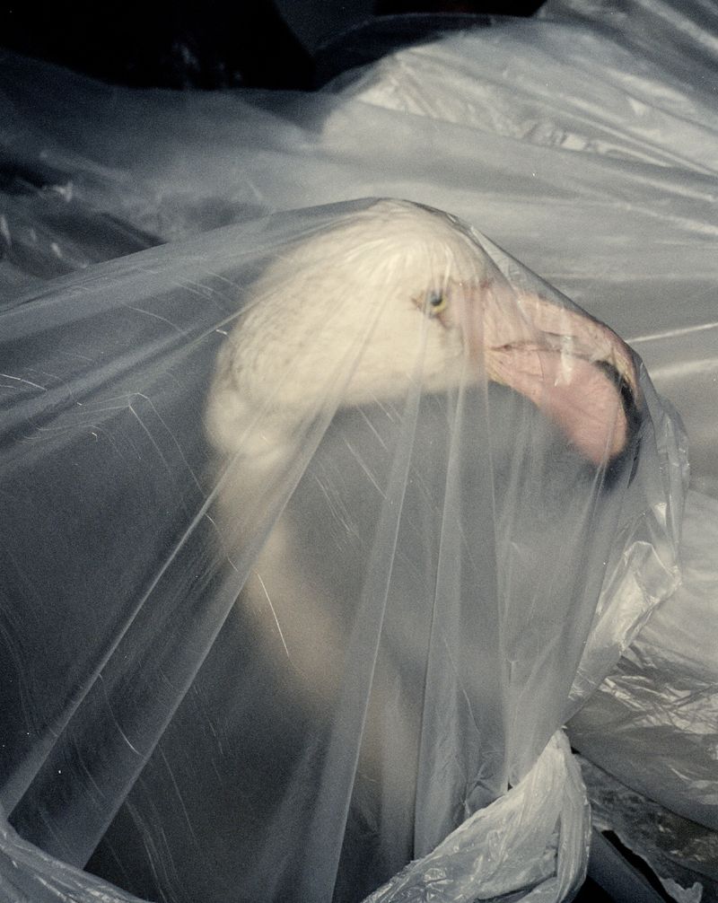 © Giovanni Cocco - Image from the DISPLACEMENT - NEW TOWN NO TOWN photography project