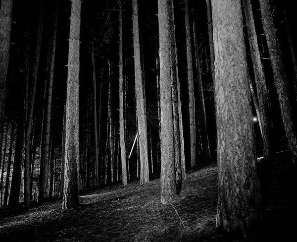 © Kosmas Iliadis - Image from the Intimate Paths photography project