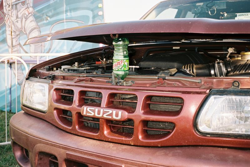 © Chloe Jones - Image from the Tiger's Blood photography project