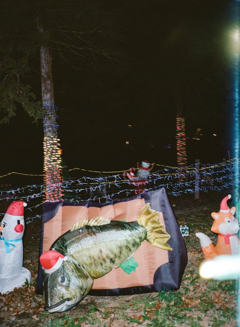 © Chloe Jones - Image from the Tiger's Blood photography project