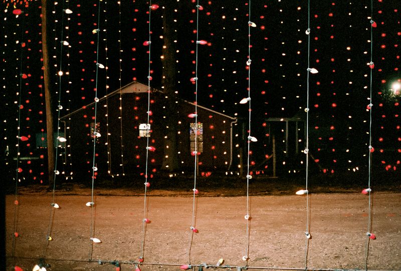 © Chloe Jones - Image from the Tiger's Blood photography project