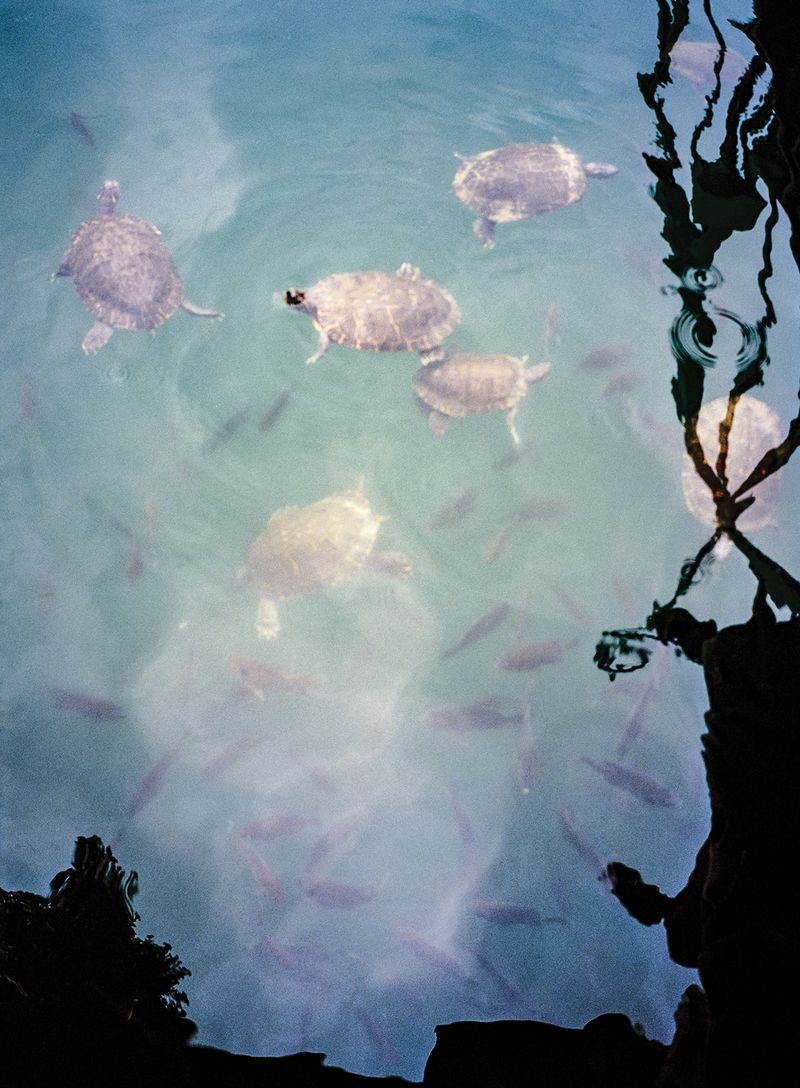 © Chloe Jones - Image from the By And By photography project