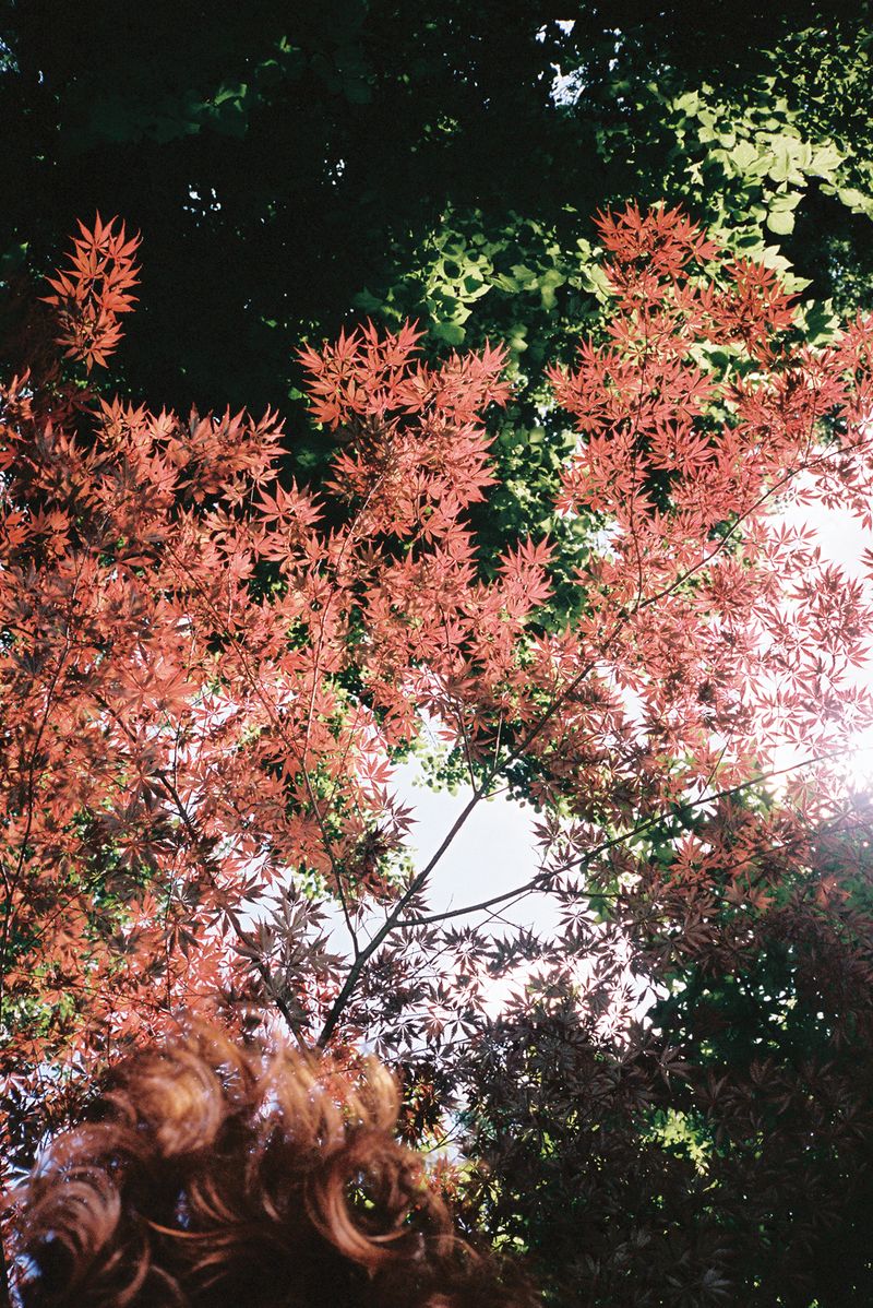 © Chloe Jones - Image from the By And By photography project