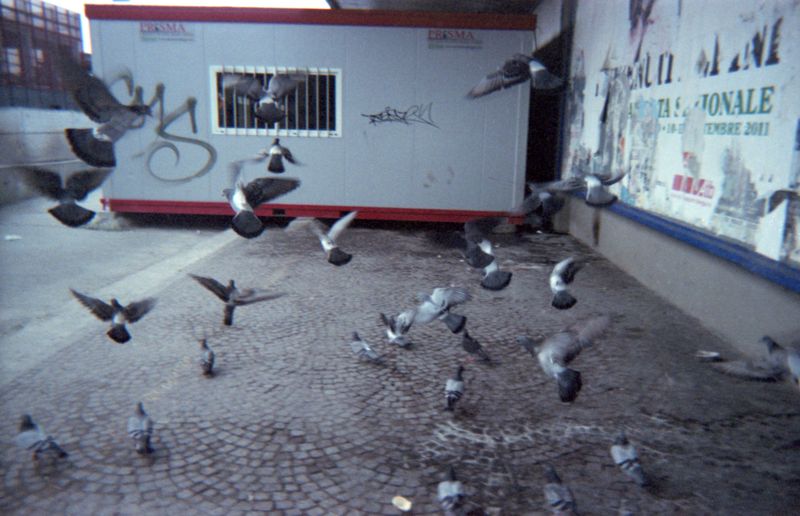 © Luca Brama - Image from the TRUE STORIES ARE SAD photography project