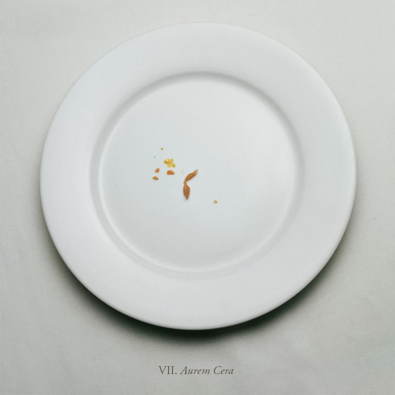 © Aline Smithson - Image from the The Embarrassment of Being Human photography project