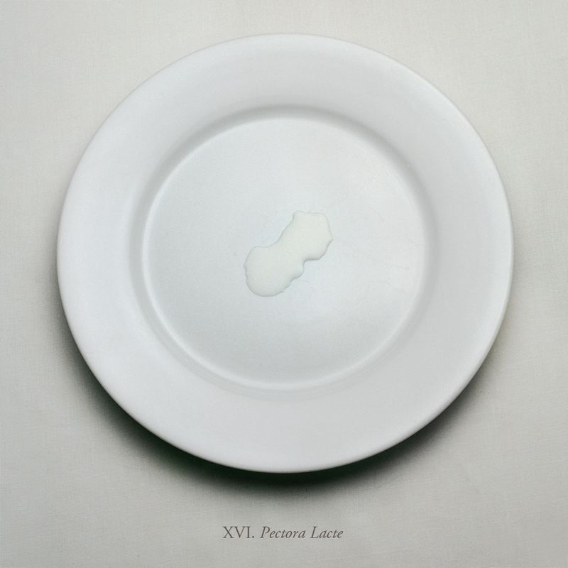 © Aline Smithson - Image from the The Embarrassment of Being Human photography project