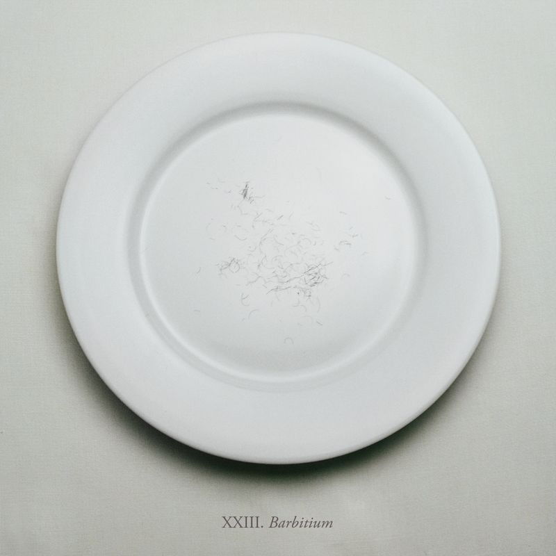 © Aline Smithson - Image from the The Embarrassment of Being Human photography project