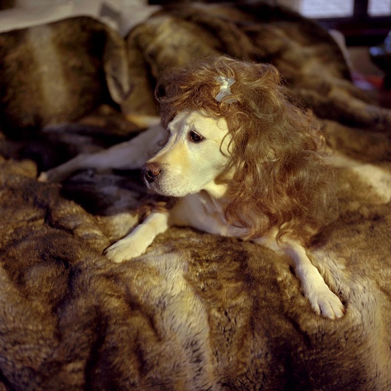 © Aline Smithson - Image from the Hollywood at Home photography project