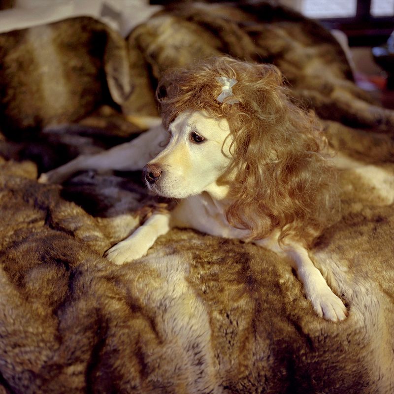 © Aline Smithson - Image from the Hollywood at Home photography project