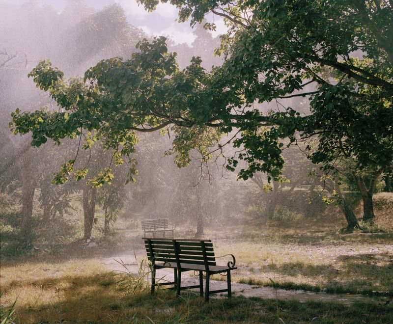 © Silvana  Trevale - Image from the Warm Rain photography project