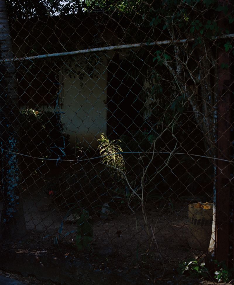 © Silvana  Trevale - Image from the Warm Rain photography project