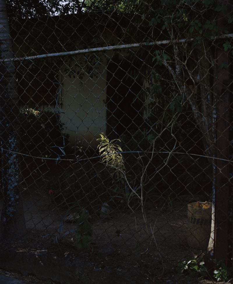 © Silvana  Trevale - Image from the Warm Rain photography project