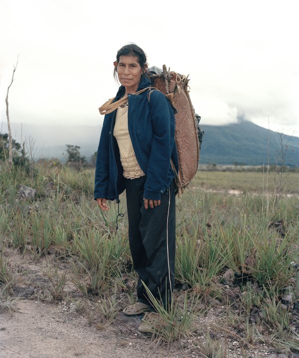 © Silvana  Trevale - Felicia