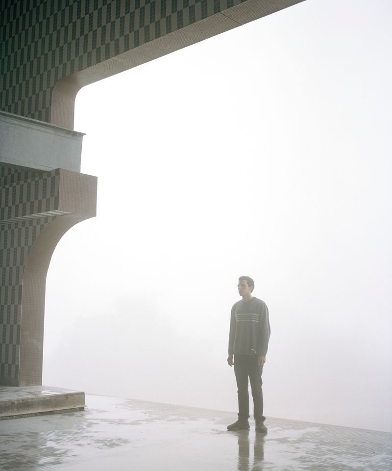 © Silvana  Trevale - Humbolt