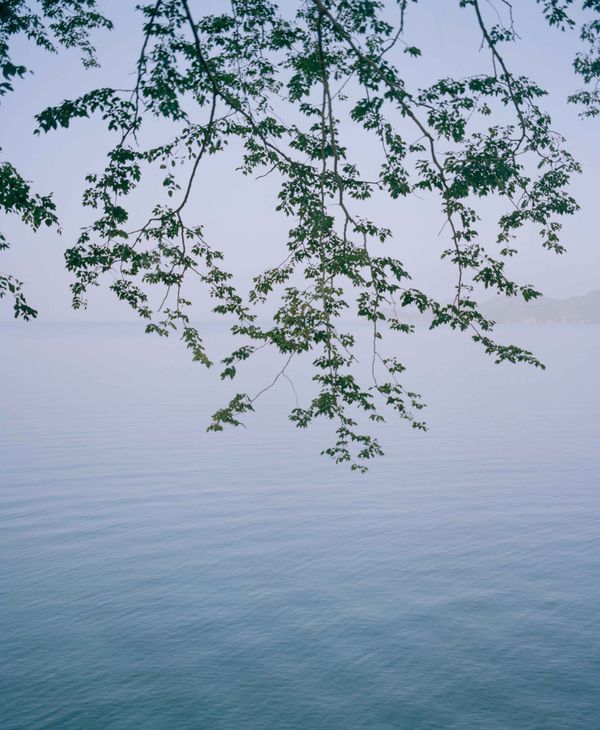 © Silvana  Trevale - Majagual