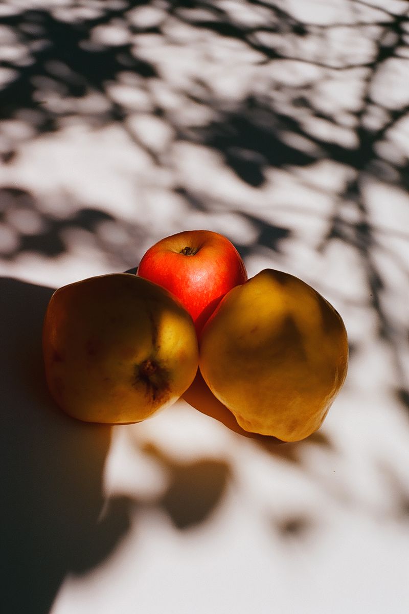 © Pavel Bukreev - Quinces & apple stilllife