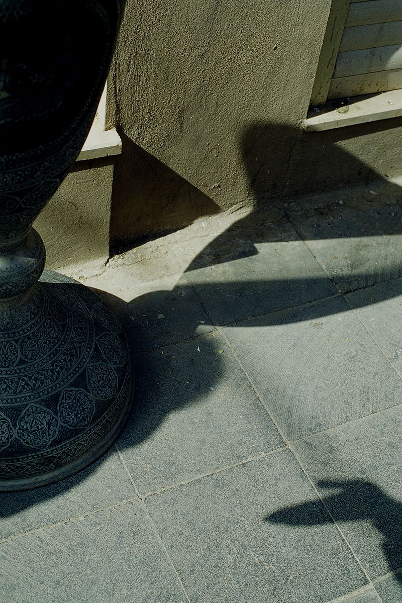 © Pavel Bukreev - Barutu