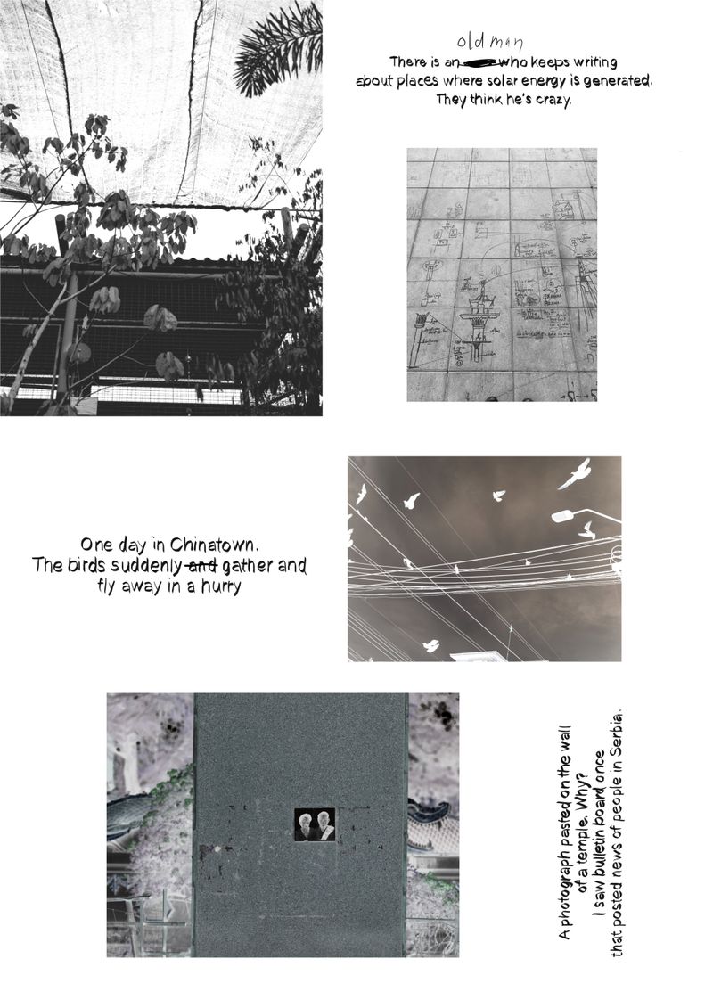 © hitomi hasegawa - Image from the Don't forget about a Fox photography project