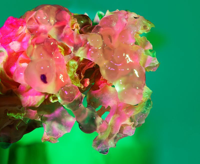 © Julie Tixier - Image from the Extraordinary Conceptions photography project