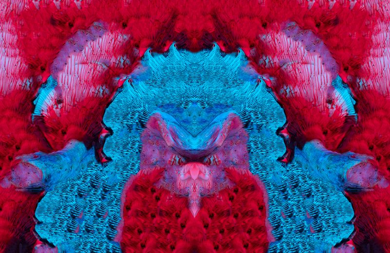 © Julie Tixier - Image from the Extraordinary Conceptions photography project